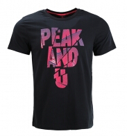 匹克PEAK2015夏季新品情侣男子透气圆领时尚运动短袖T恤F652277